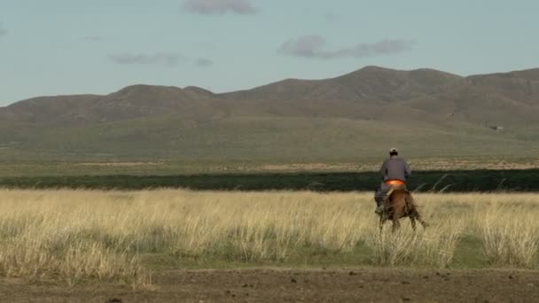 Mongolian Nomad on a horse — Stock Video