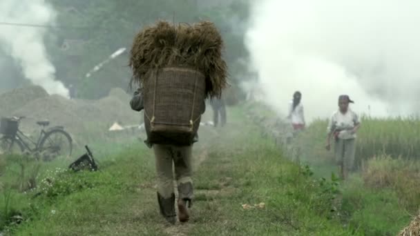 Woman walking away with basket full of hay — Stock Video