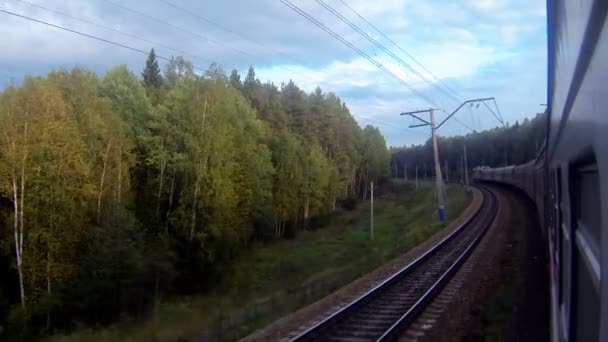 Entrenar en una curva aguda en el bosque — Vídeo de stock