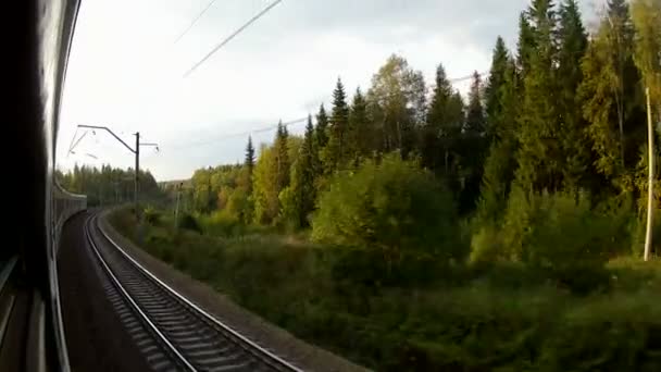 Vista de trem das costas e da floresta — Vídeo de Stock