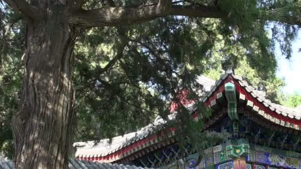 People walking through at the summer palace — Stock Video