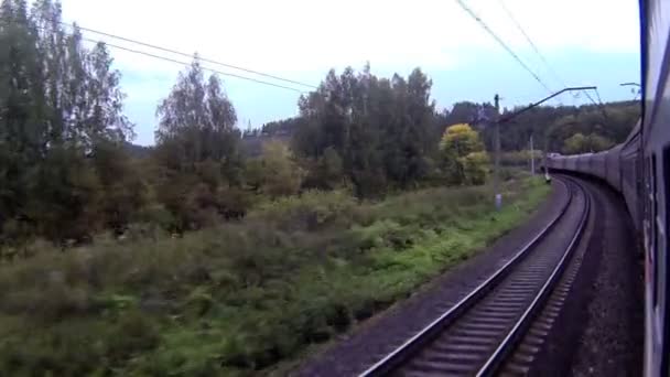 Вид на поезд в кривой с лесом — стоковое видео