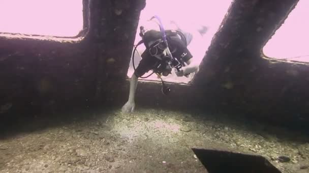 沉船潜水和拍摄与临去 — 图库视频影像