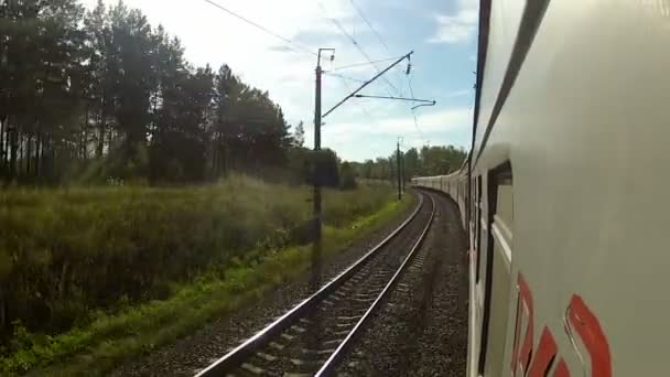 Trens dirigindo em um canto na floresta — Vídeo de Stock