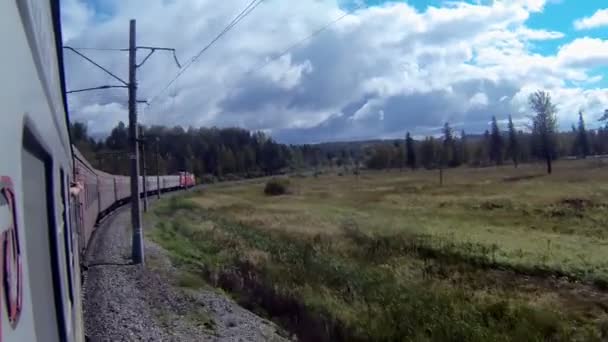 Train dans une courbe serrée entre la forêt — Video