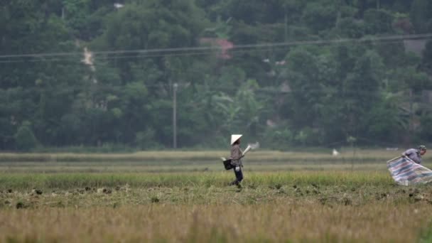 Пан из Ладий, работающих на ферме — стоковое видео