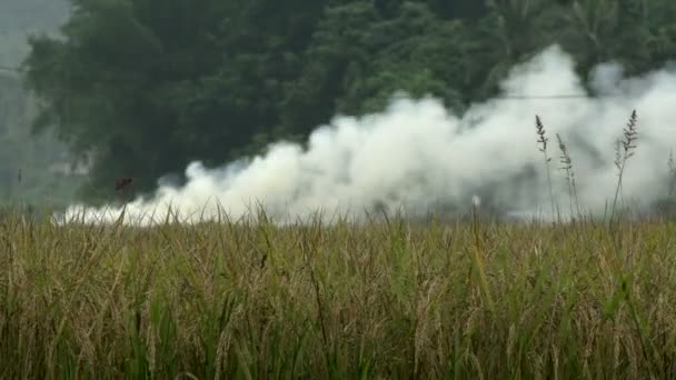 Humo por encima de las tierras agrícolas en Mai Chau — Vídeos de Stock