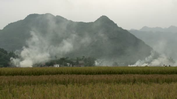 Rauch über landwirtschaftlichem Grundstück in Maichach — Stockvideo