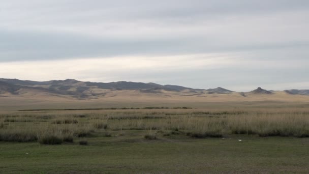 Mongolie paysage pan — Video