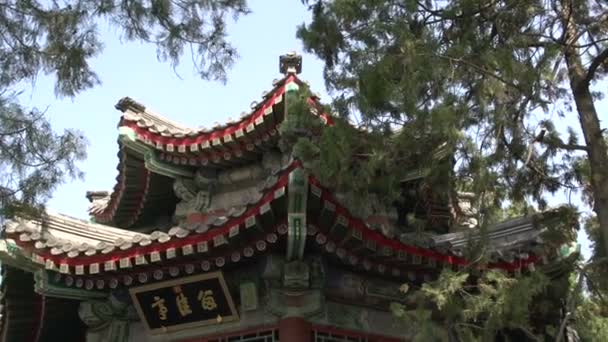 People walking around at the summer palace — Stock Video