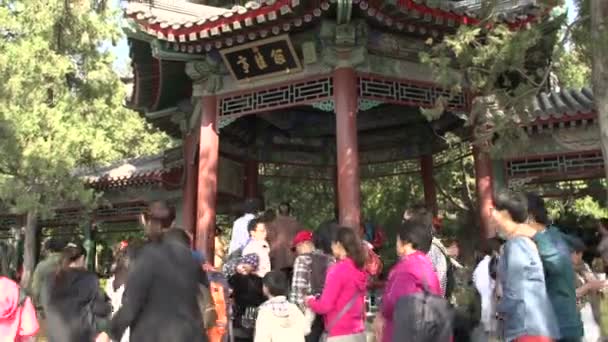 People at the summer palace — Stock Video