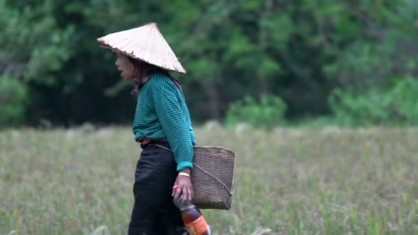 Oudere dame wandelen op de boerderij land — Stockvideo