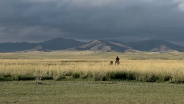 Mongol Nomad em um cavalo com ao lado dele em outro cavalo — Vídeo de Stock