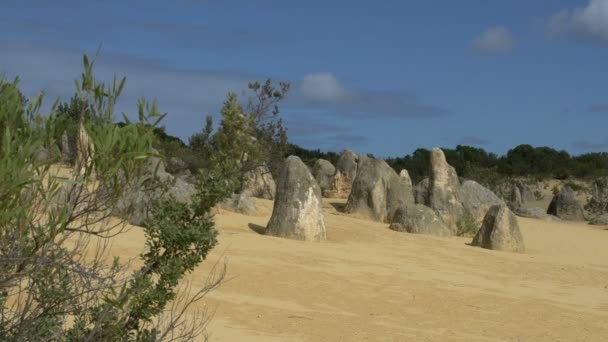 Les pinacles au ciel bleu — Video