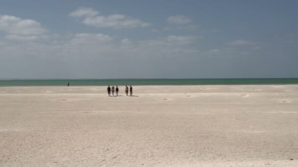Deniz kabuğu Plajı yürüyen insan — Stok video