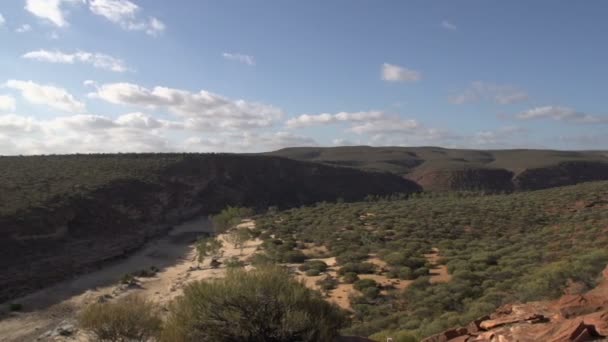 Kalbarri cliff — Stock Video