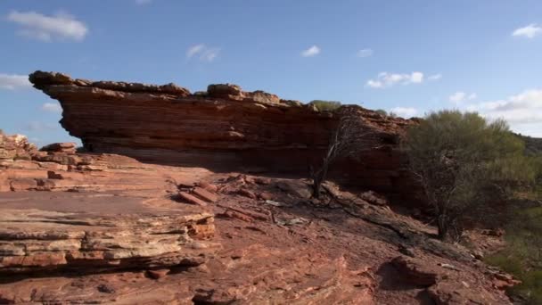 Kalbarri cliff — Stock Video