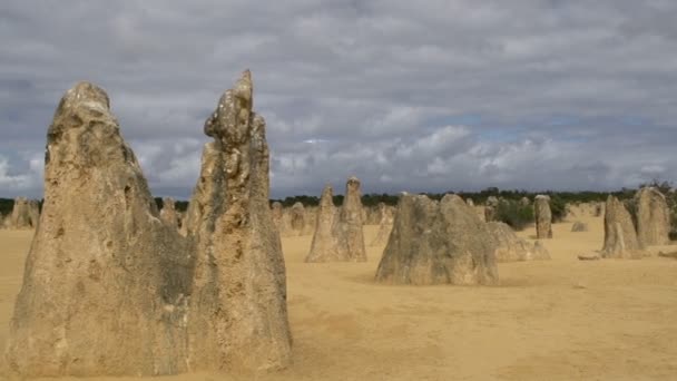 Les pinacles au ciel bleu 