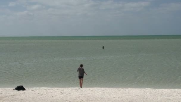 モンキー ミア シャーク湾国立公園の水に歩く女の子 — ストック動画