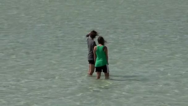 Girls in the water in Monkey Mia Shark Bay National Park — Stock Video