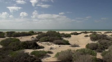 Pan peyzaj deniz kabuğu Plajı