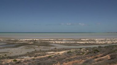 Pan shark bay Milli Parkı