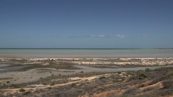 Pan landskap shark bay nationalpark — Stockvideo