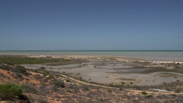 Pan peyzaj shark bay Milli Parkı — Stok video