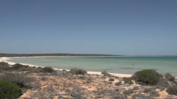 Petite lagune dans le parc national de Shark Bay 
