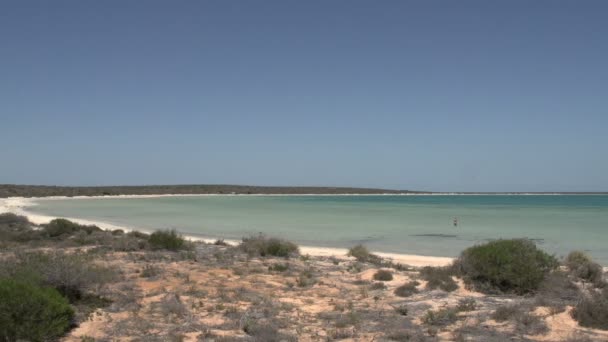 Pequeña laguna en el Parque Nacional de Shark Bay — Vídeos de Stock