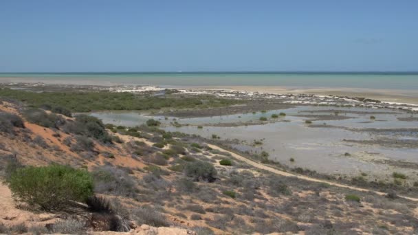 Shark bay Milli Parkı peyzaj — Stok video