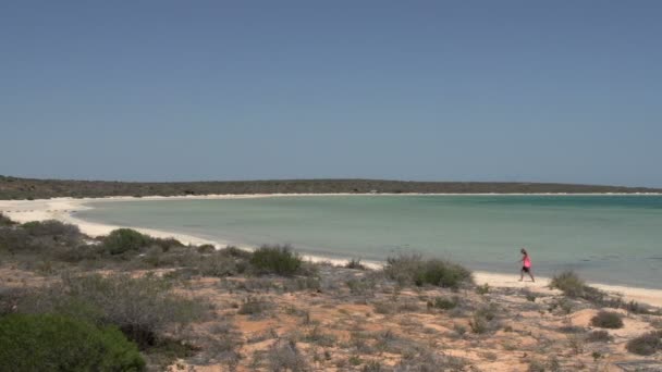 Meisje wandelen op het strand — Stockvideo