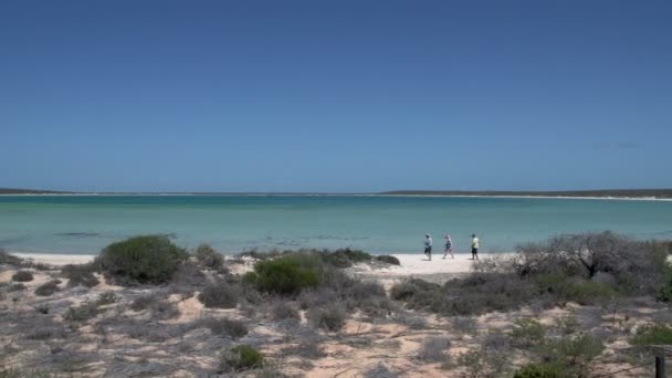personnes marchant à la plage