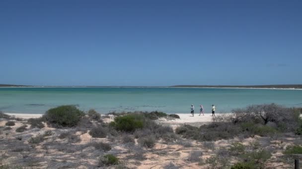 Gente caminando en la playa — Vídeo de stock