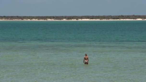 मुलगी पाण्यात चालत — स्टॉक व्हिडिओ
