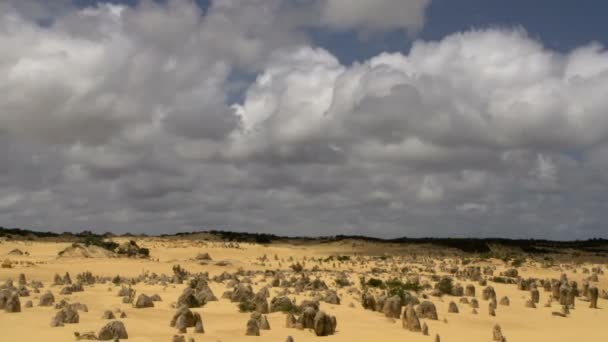 A csúcsok, a nambung nemzeti park — Stock videók