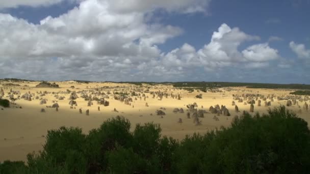 Os Pináculos, Parque Nacional de Nambung — Vídeo de Stock