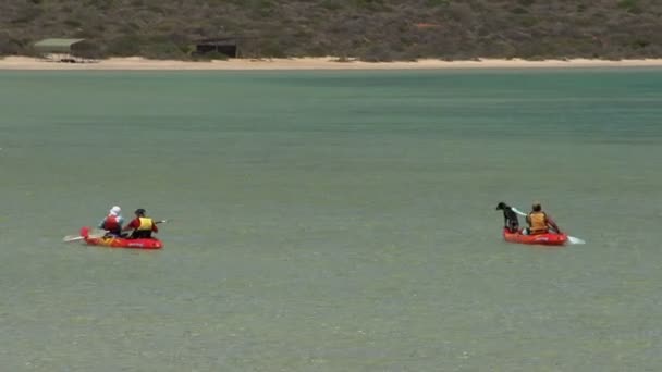 Gente paseando en canoa en la laguna Little — Vídeo de stock