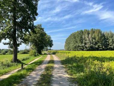Hollanda Gelderland 'da Gelselaar' ın etrafındaki çakıl yolu.