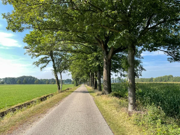 Hollanda Gelderland Beltrum Çevresinde Asfalt Yol — Stok fotoğraf