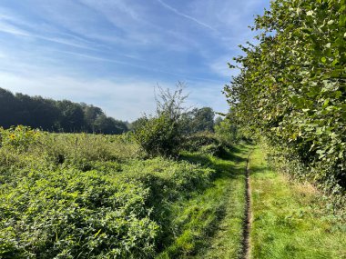 Hollanda Gelderland 'de Lochem' in çevresindeki yol
