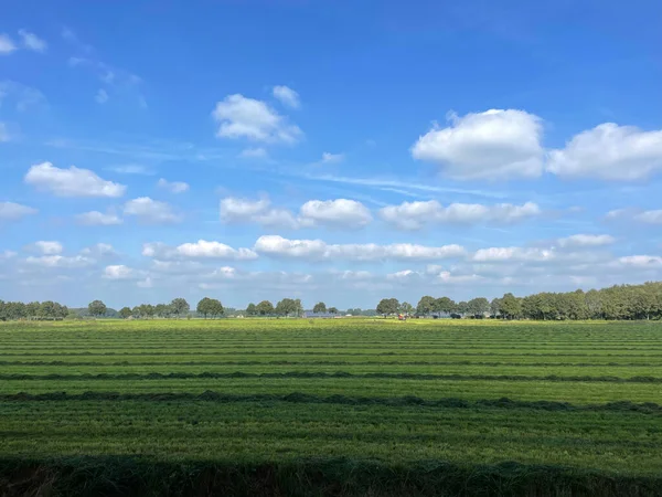 Grunty Rolne Wokół Dortherhoek Gelderland Holandii — Zdjęcie stockowe