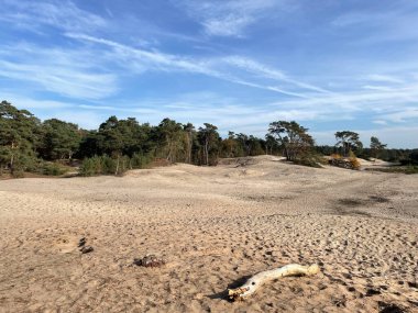 Hollanda 'da Beerze Overijssel' deki kum tepeleri