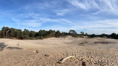 Hollanda 'da Beerze Overijssel' deki kum tepeleri