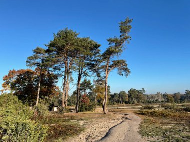 Hollanda, Overijssel 'deki Lemelerberg Sahnesi
