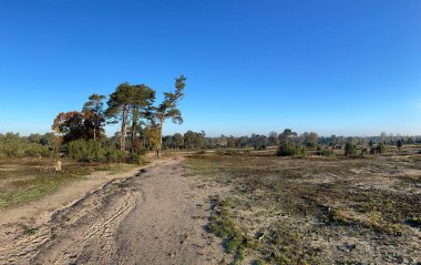 Hollanda, Overijssel 'deki Lemelerberg Sahnesi