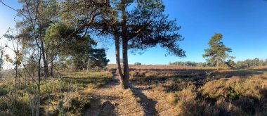 Hollanda, Overijssel 'deki Lemelerberg Sahnesi