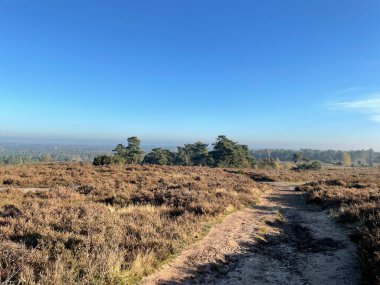 Hollanda, Overijssel 'deki Archemerberg' de sahne