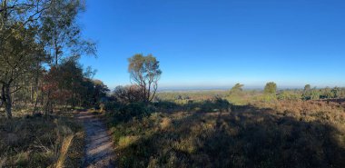 Hollanda, Overijssel 'deki Archemerberg' de yürüyüş yolu.