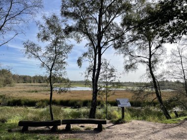Almanya 'da sonbahar boyunca doğa rezervi Zwillbrocker Venn